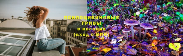 гашиш Заводоуковск